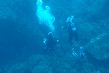 DSC02298.jpg